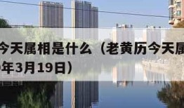 老黄历今天属相是什么（老黄历今天属相是什么2020年3月19日）