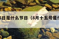 8月15日是什么节日（8月十五号是什么节日）