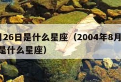 8月26日是什么星座（2004年8月26日是什么星座）