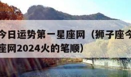 狮子座今日运势第一星座网（狮子座今日运势第一星座网2024火的笔顺）