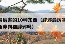 辟邪最厉害的10种东西（辟邪最厉害的10种东西养狗猫辟邪吗）