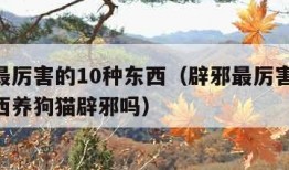 辟邪最厉害的10种东西（辟邪最厉害的10种东西养狗猫辟邪吗）