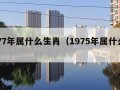 1977年属什么生肖（1975年属什么生肖）