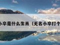 无名小卒是什么生肖（无名小卒打个生肖）