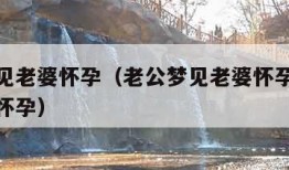 老公梦见老婆怀孕（老公梦见老婆怀孕了是不是真会怀孕）