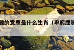 卑躬屈膝的意思是什么生肖（卑躬屈膝指的什么生肖）