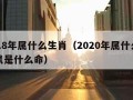 2018年属什么生肖（2020年属什么生肖鼠是什么命）