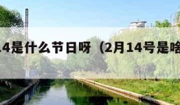 2月14是什么节日呀（2月14号是啥节日）