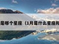 1月是哪个星座（1月是什么星座阳历）