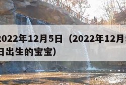 2022年12月5日（2022年12月5日出生的宝宝）