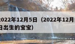 2022年12月5日（2022年12月5日出生的宝宝）