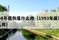 1994年属狗是什么命（1993年属鸡是什么命）