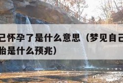 梦见自己怀孕了是什么意思（梦见自己怀孕了要去打胎是什么预兆）