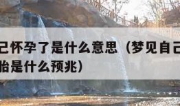 梦见自己怀孕了是什么意思（梦见自己怀孕了要去打胎是什么预兆）