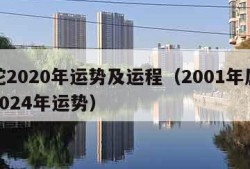 属蛇2020年运势及运程（2001年属蛇男2024年运势）