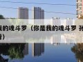 你是我的魂斗罗（你是我的魂斗罗 孙家一 在线看）