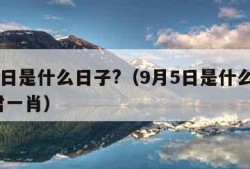 9月5日是什么日子?（9月5日是什么日子?博君一肖）