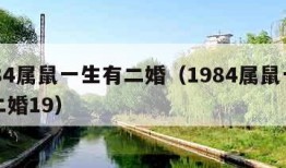 1984属鼠一生有二婚（1984属鼠一生有二婚19）