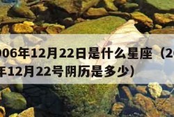 2006年12月22日是什么星座（2006年12月22号阴历是多少）