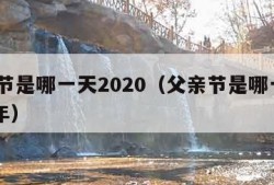 父亲节是哪一天2020（父亲节是哪一天2021年）