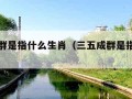 三五成群是指什么生肖（三五成群是指什么生肖呢）