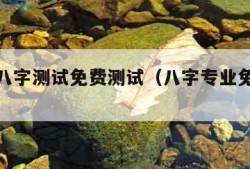 最准的八字测试免费测试（八字专业免费测试）