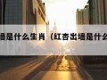 红杏出墙是什么生肖（红杏出墙是什么生肖打一肖）