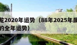 属龙2020年运势（88年2025年属龙女的全年运势）