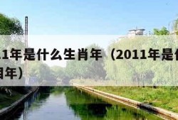 2011年是什么生肖年（2011年是什么属相年）