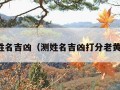 测姓名吉凶（测姓名吉凶打分老黄历）