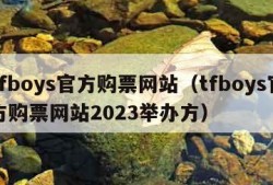 tfboys官方购票网站（tfboys官方购票网站2023举办方）