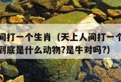 天上人间打一个生肖（天上人间打一个生肖标准答案到底是什么动物?是牛对吗?）