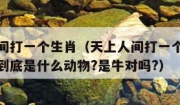 天上人间打一个生肖（天上人间打一个生肖标准答案到底是什么动物?是牛对吗?）