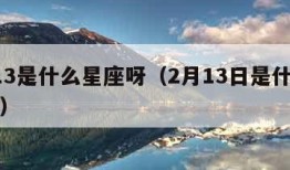 2月13是什么星座呀（2月13日是什么星座啊）