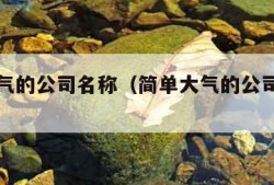 简单大气的公司名称（简单大气的公司名称两个字）