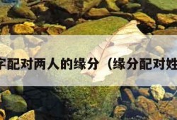 名字配对两人的缘分（缘分配对姓名）