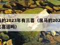 属马的2023年有三喜（属马的2023年有三喜运吗）