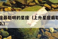 上升星座最聪明的星座（上升星座最聪明的星座是什么）