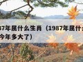 1987年属什么生肖（1987年属什么生肖 今年多大了）