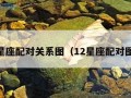 12星座配对关系图（12星座配对图片）