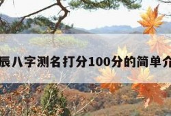 生辰八字测名打分100分的简单介绍