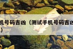 测试手机号码吉凶（测试手机号码吉凶最准确的2021）