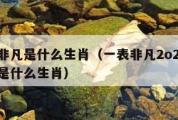 一表非凡是什么生肖（一表非凡2o21年1月份是什么生肖）