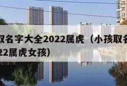 小孩取名字大全2022属虎（小孩取名字大全2022属虎女孩）