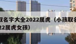 小孩取名字大全2022属虎（小孩取名字大全2022属虎女孩）