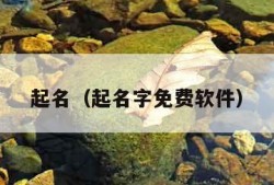 起名（起名字免费软件）