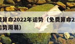 免费算命2022年运势（免费算命2021年运势周易）