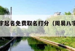 周易八字起名免费取名打分（周易八字起名网官网）