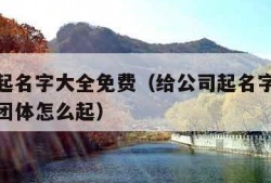 给公司起名字大全免费（给公司起名字大全免费社会团体怎么起）