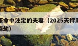 天秤座命中注定的夫妻（2025天秤座躲不过的情劫）